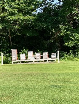 Bee boxes at Evansville CC in Evansville, IN